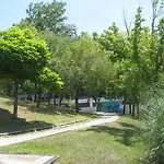 Garden In Apartman *