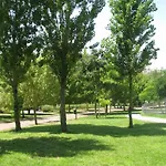 Garden In Apartman *