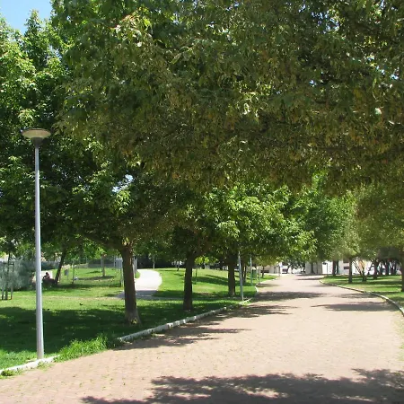 Garden In *