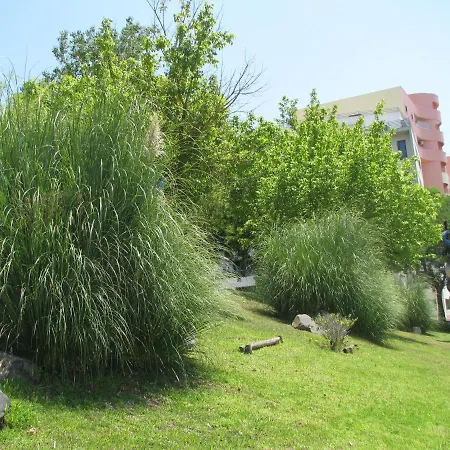 Garden In Apartamento Odivelas (Lisbon)