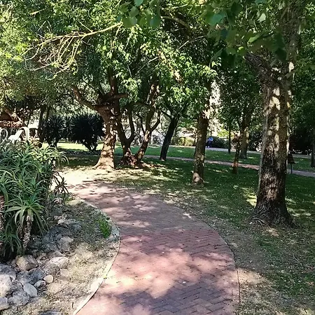 Garden In *
